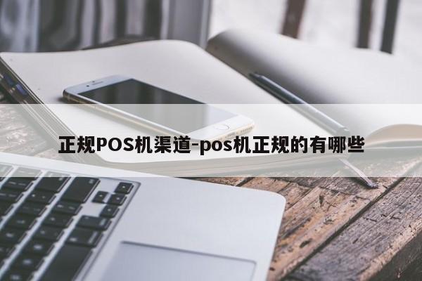 镇赉正规POS机渠道-pos机正规的有哪些